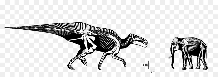 Tyrannosaurus，Sığır PNG