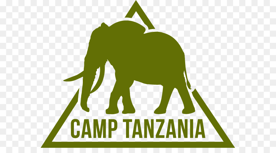 Kampları Uluslararası，Kilimanjaro Dağı PNG