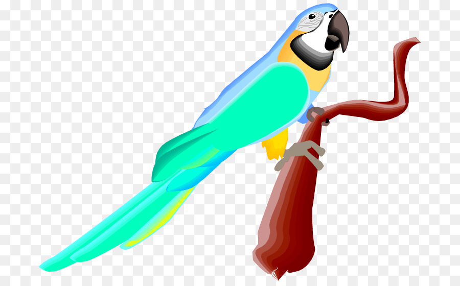 Papağan，Dalğalı Papağanlar PNG