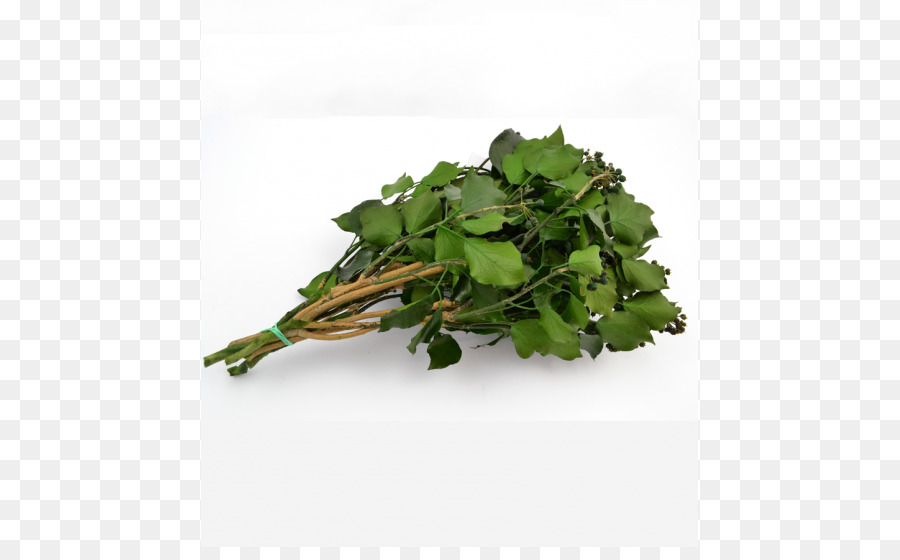 Yeşillik，Rapini PNG