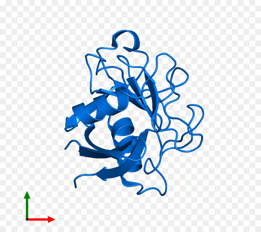 Hat Sanatı，Grafik Tasarım PNG