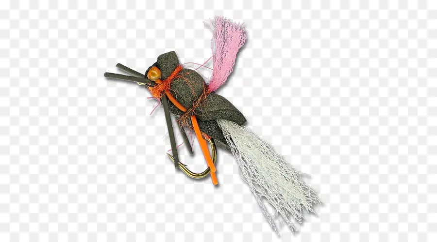 Böcek，Zar Kanatlı Böcek PNG