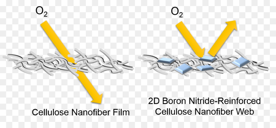 Bor Nitrür Nanosheet，Nano Lif PNG