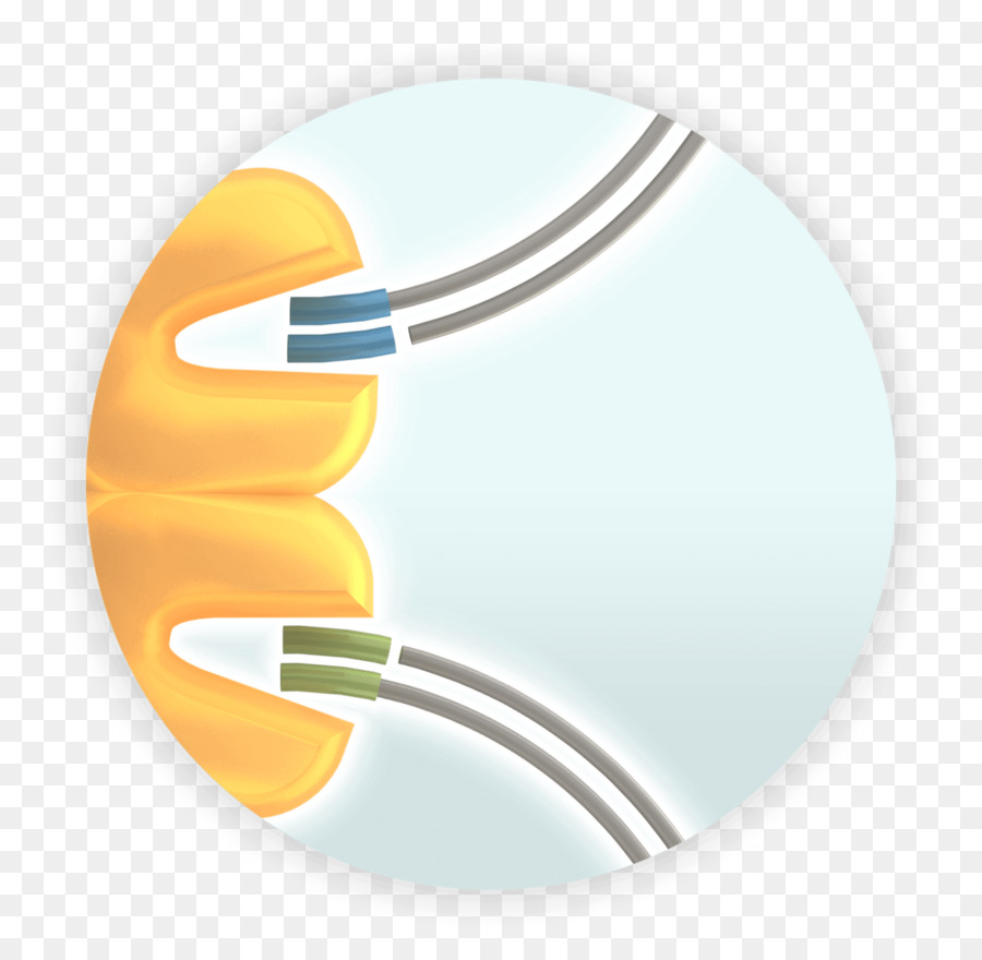 Illumina，ıllumina Boya Sıralama PNG