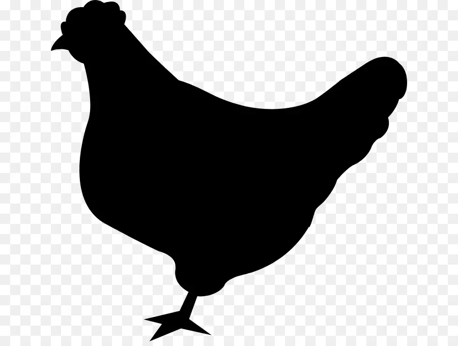 Tavuk，Yemek Olarak Tavuk PNG