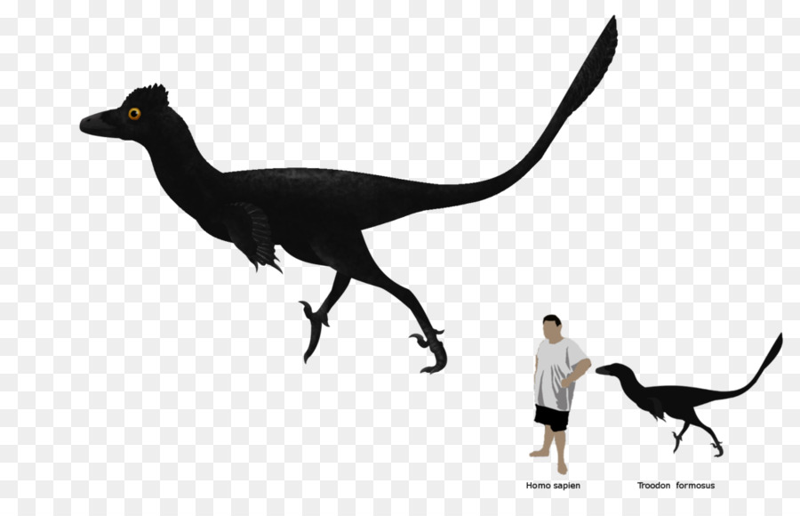 Velociraptor，Fauna PNG