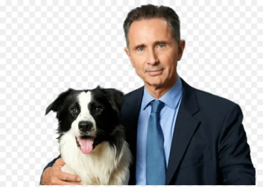 Adam Ve Köpek，Evcil Hayvan PNG