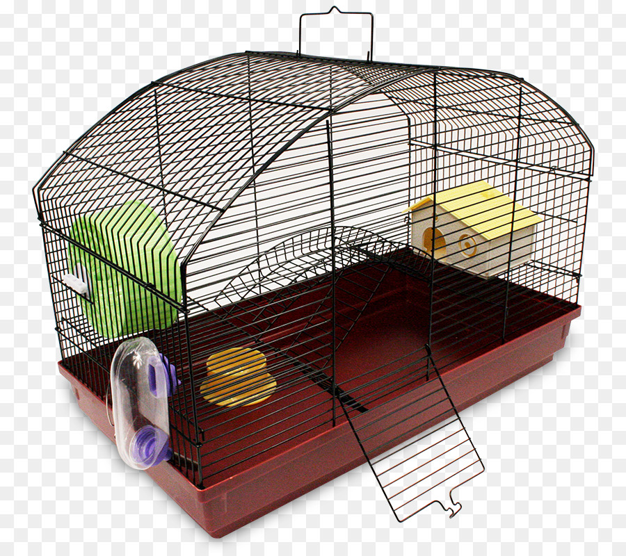 Hamster，Kobay PNG