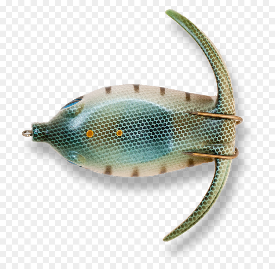 Kemikli Balıklar，Balık PNG