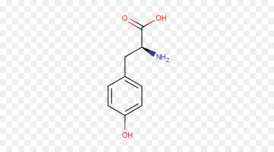 Kimyasal Yapı，Molekül PNG