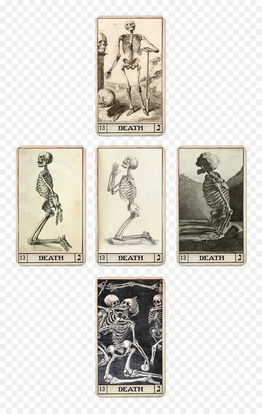 ölüm Tarot Kartları，Tarot PNG