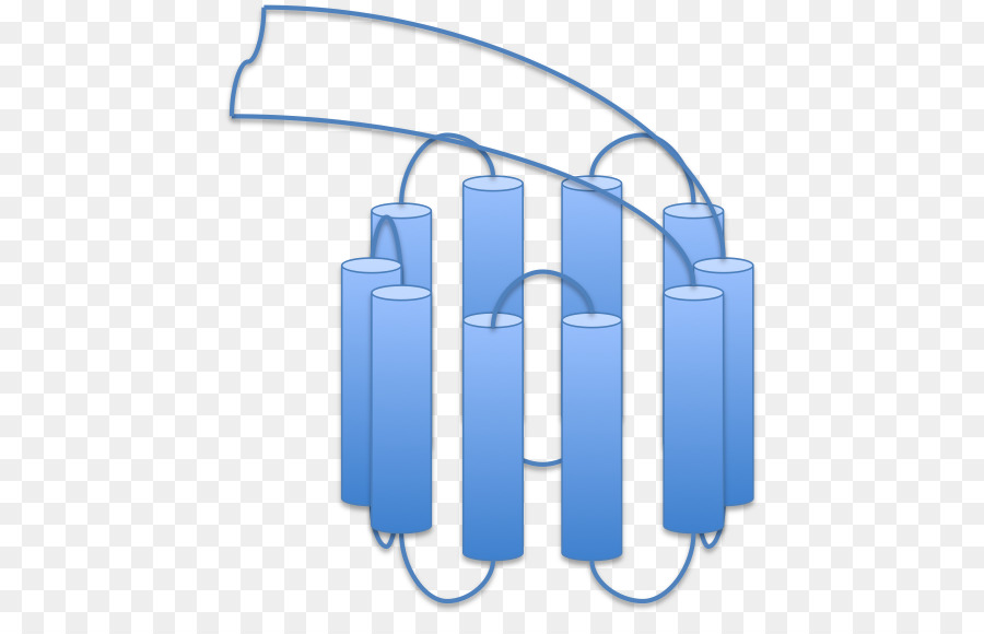 Transmembran Protein 175，Transmembran Protein PNG