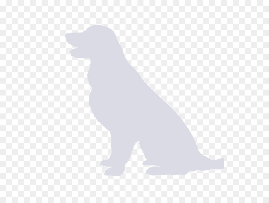 Köpek ırkı，Köpek Yavrusu PNG