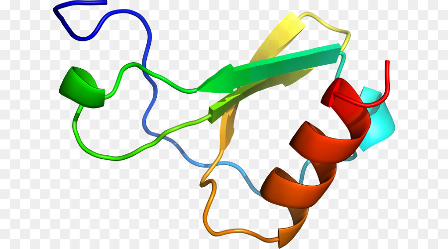 Protein Sarmalı，Molekül PNG