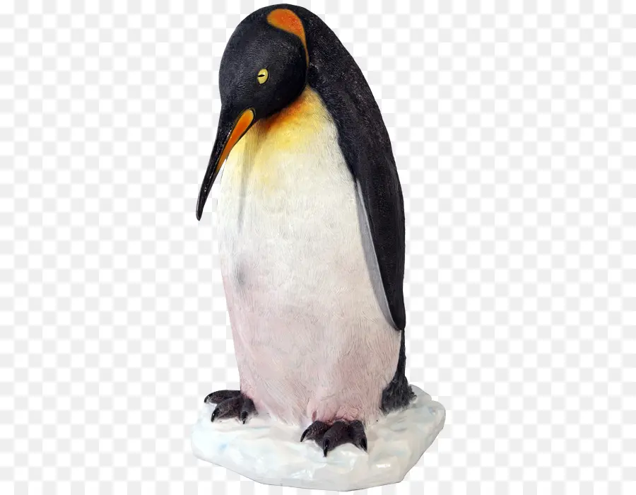 Penguen，Kuş PNG