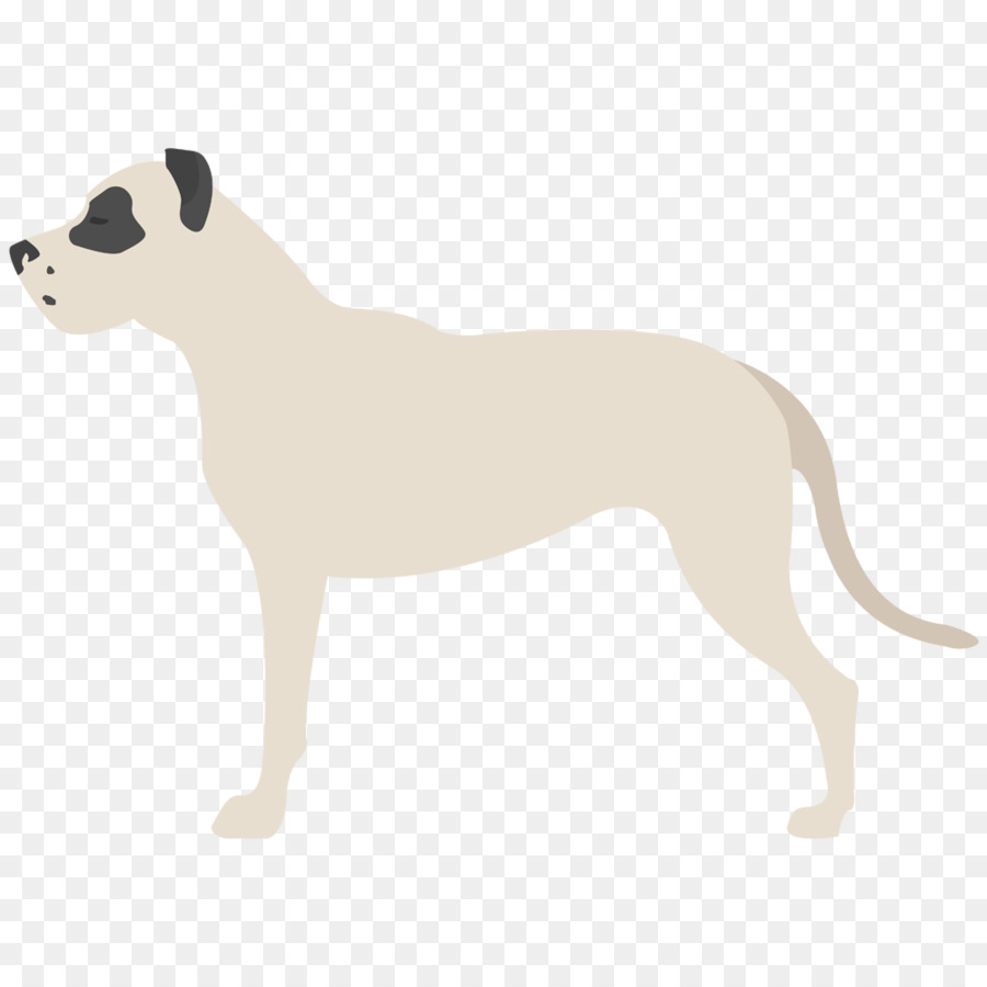 Danua，İtalyan Greyhound PNG
