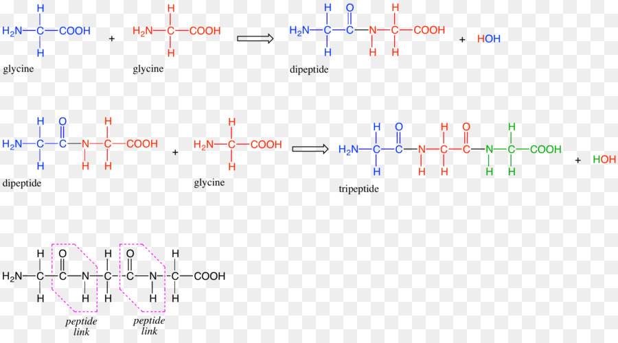 Tripeptit，Kozmetik PNG