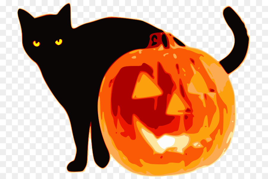 Jack Lantern，Kedi PNG