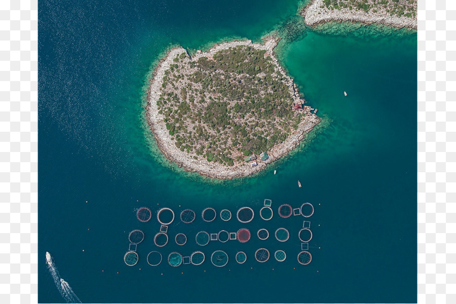 Balık Yetiştiriciliği，Hava Fotoğrafçılığı PNG