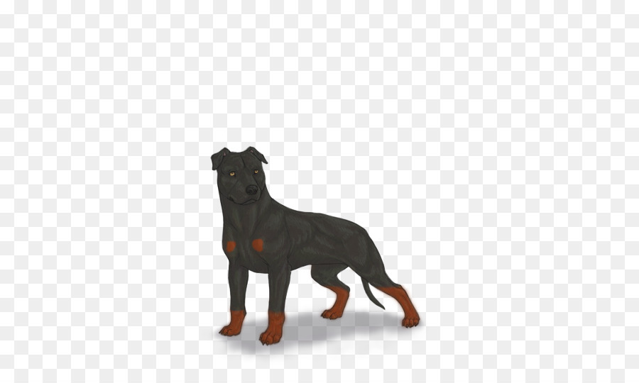 Rottweiler，Köpek Yavrusu PNG