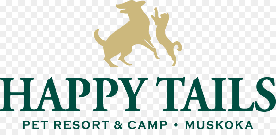Happy Tails Pet Resort Kamp，Sarı PNG