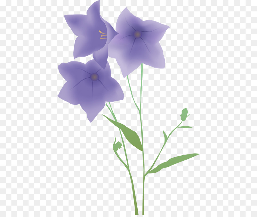 çiçek，Mor PNG