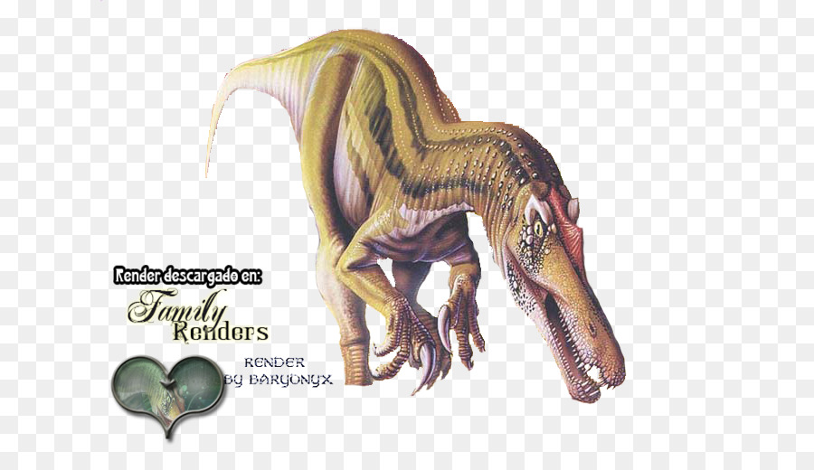 Tyrannosaurus，Velociraptor PNG