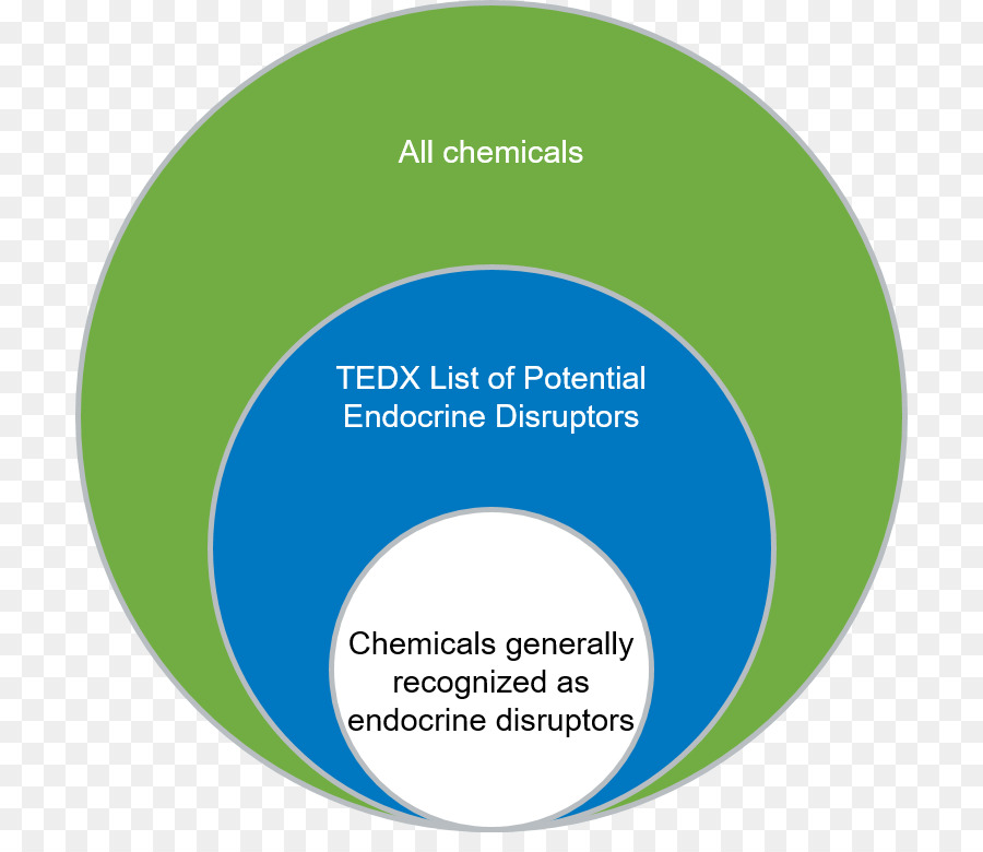 Endokrin Disruptor，Endokrin Sistem PNG