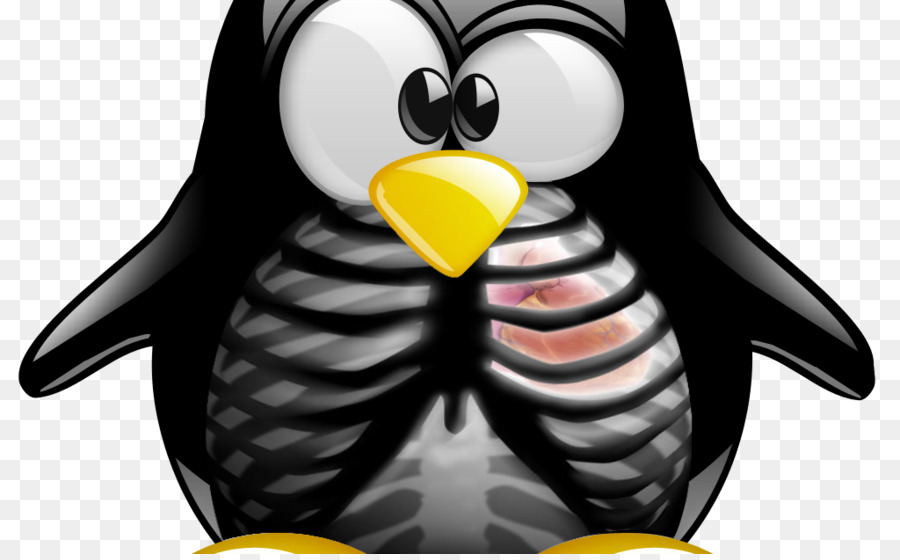 Linux，Suse Linux Dağıtımları PNG