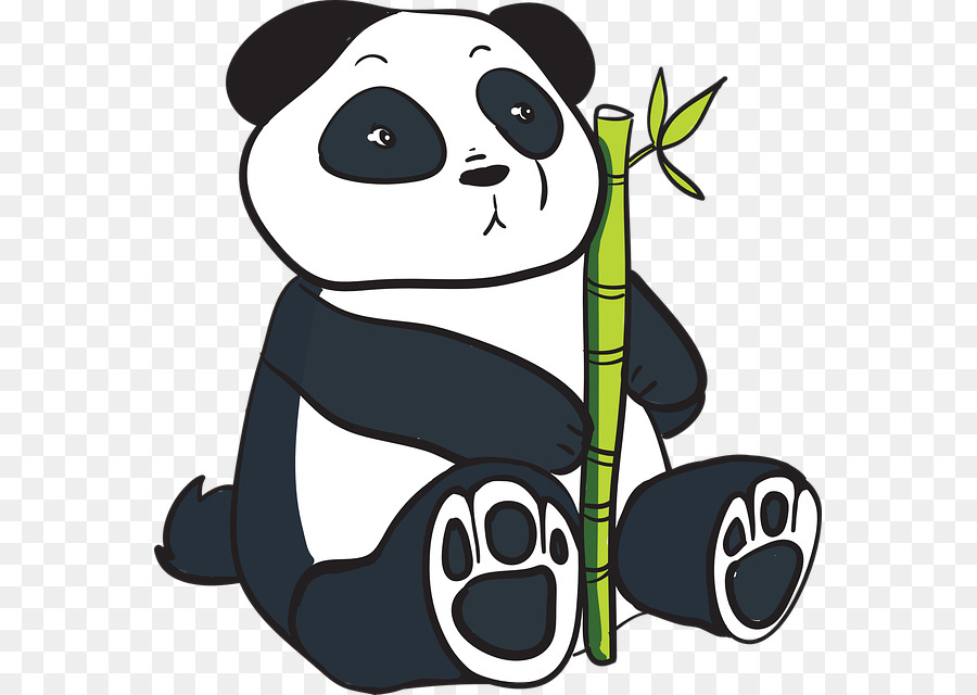 Dev Panda，Kırmızı Panda PNG