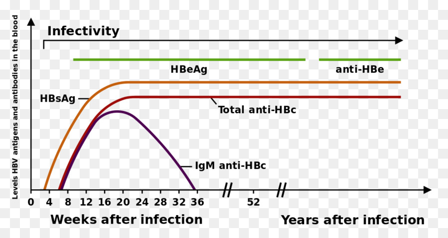 Hepatit B，Hepatit B Virüs PNG