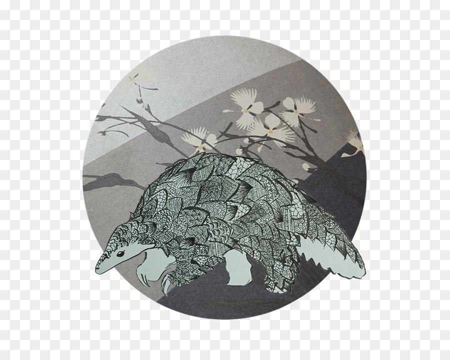 Kaplumbağa，Fauna PNG