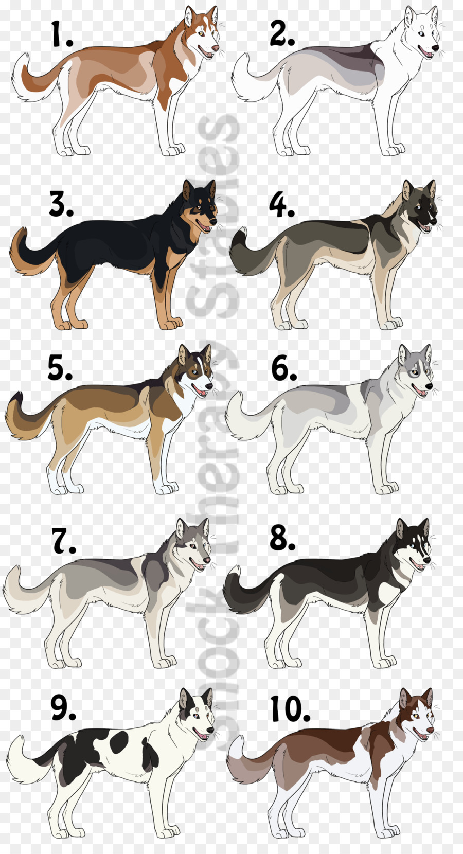 Husky Köpekleri，Yavrulamak PNG