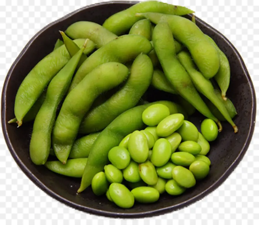 Edamame，Yeşil PNG