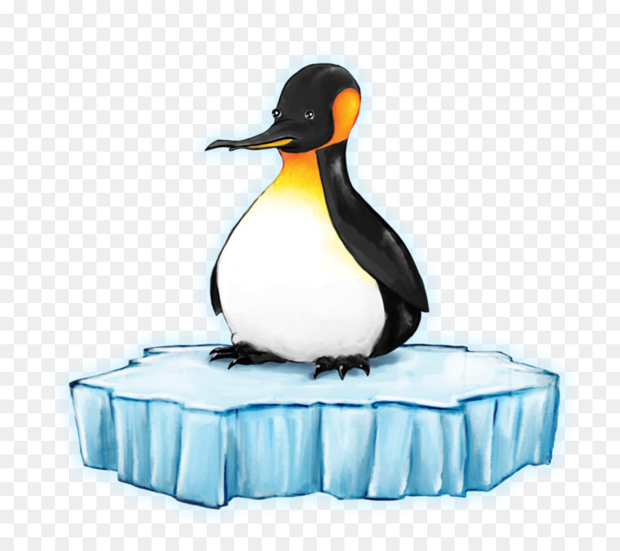 Penguen，Buz PNG