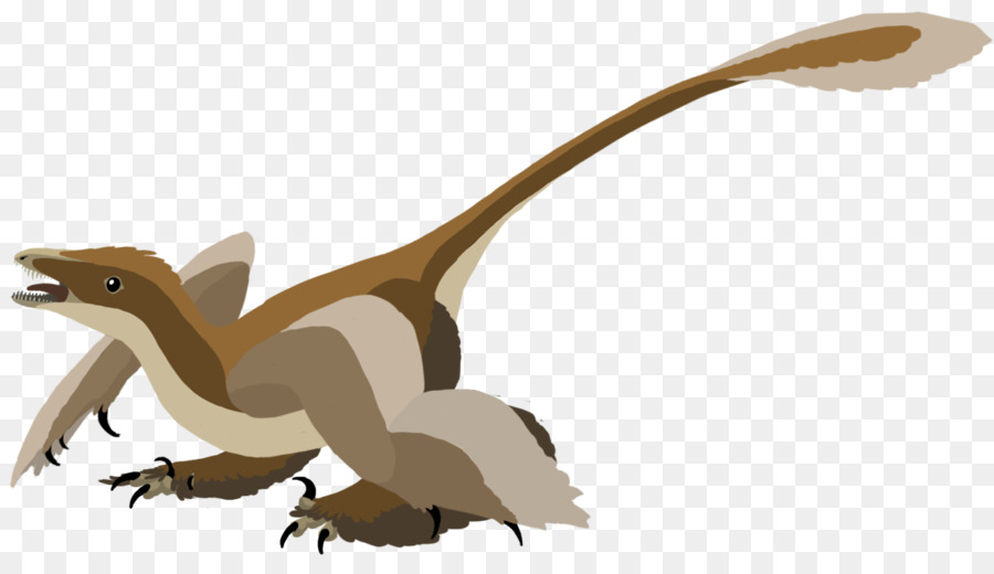 Velociraptor，Sinornithosaurus Un PNG