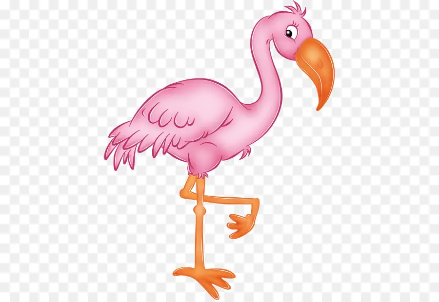 Pembe Flamingo，Hayvan PNG