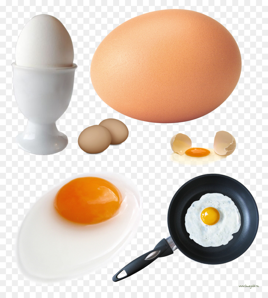 Kızarmış Yumurta，Omlet PNG