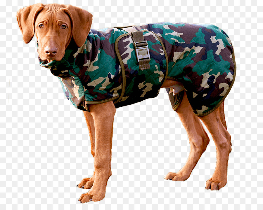 Kamuflajlı Köpek，Kamuflaj PNG