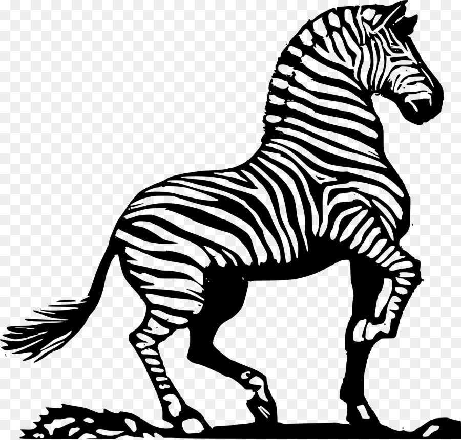 Çizim，Zebra PNG