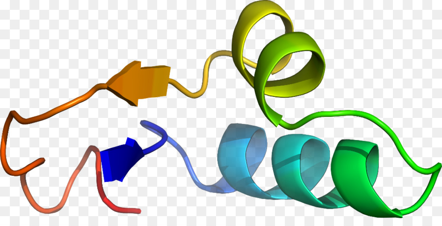 Protein Sarmalı，Molekül PNG