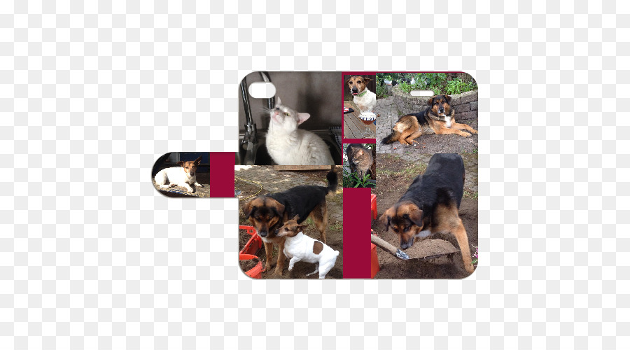 Köpek Ve Kedi，Köpek PNG