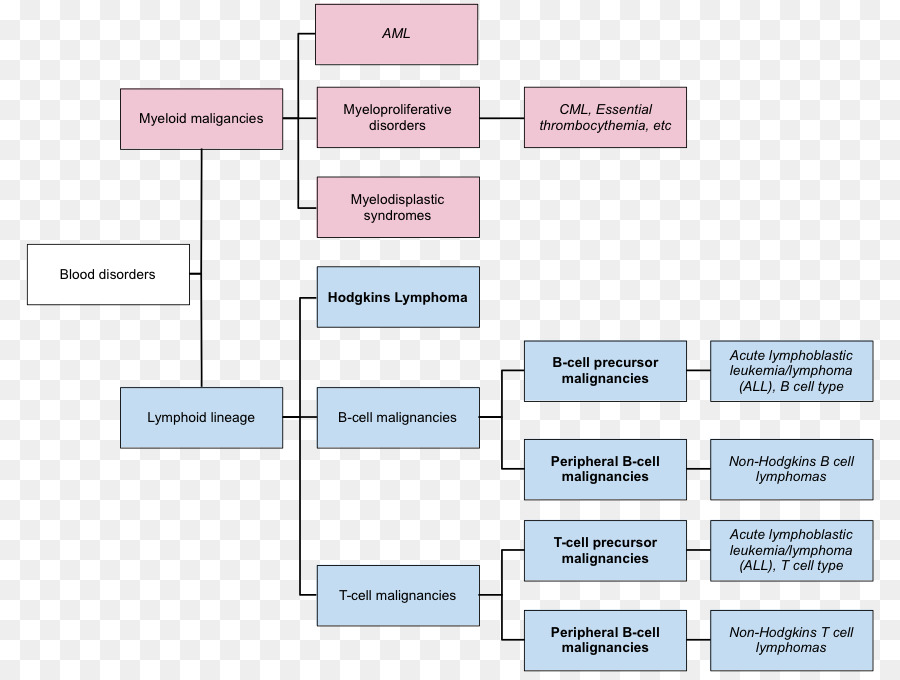 Kan Hastalıkları Tablosu，Miyeloid Maligniteler PNG