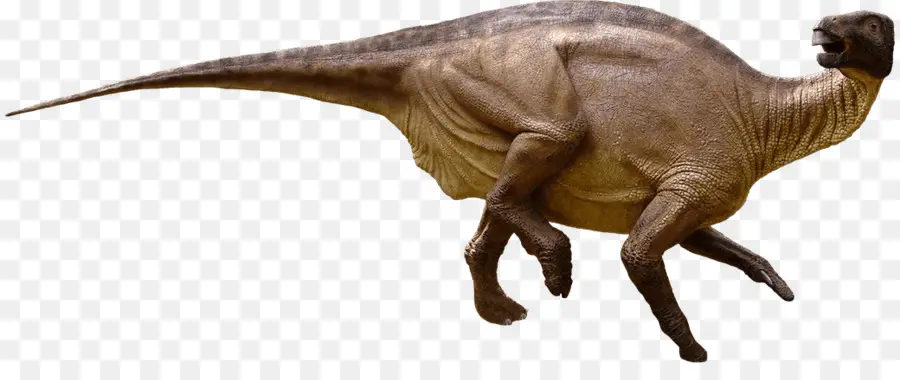 T Rex，Tarih öncesi PNG