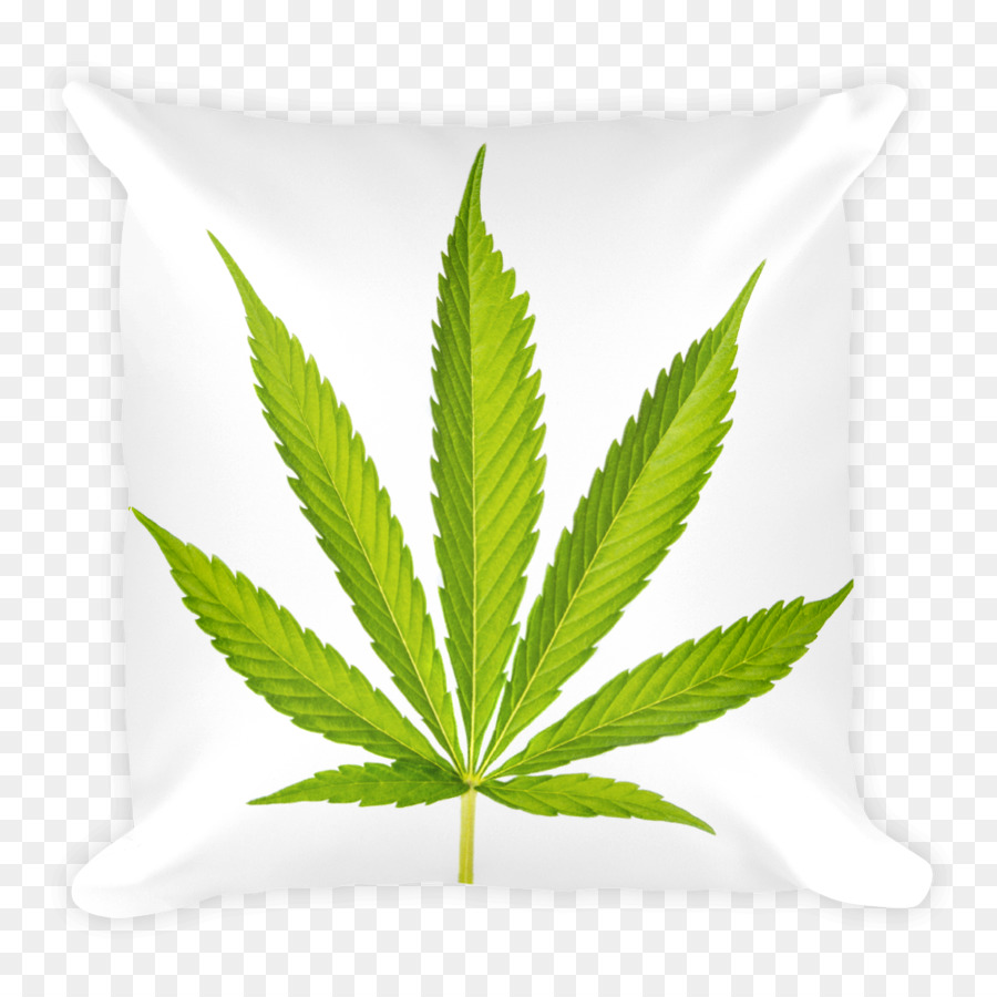 Esrar，Kenevir Sativa PNG