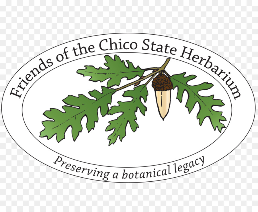 California Eyalet Üniversitesi Chico，Chico State Bitki PNG