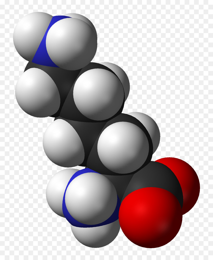 Molekül Modeli，Atomlar PNG