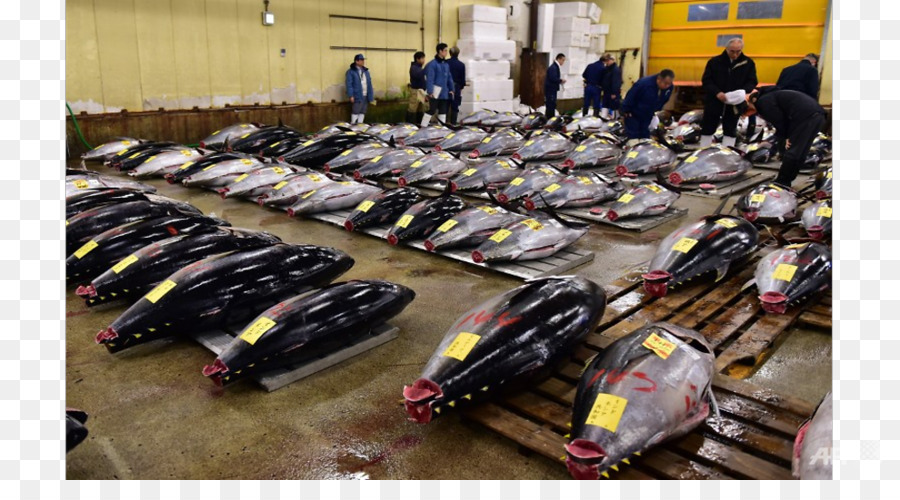 Tsukiji Balık Pazarı，Toyosu Pazar PNG