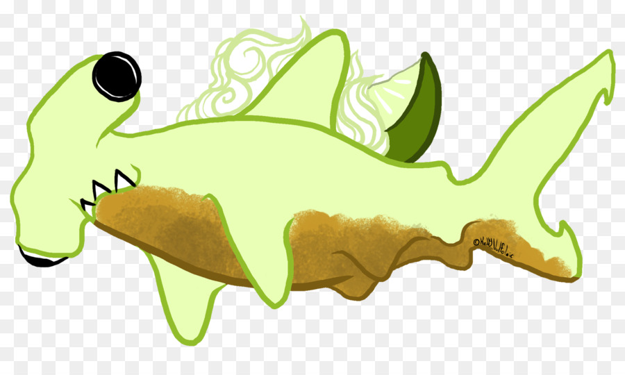 Anahtar Lime Pie，Köpekbalığı PNG