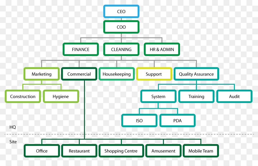 Organizasyon Yapısı，Organizasyon PNG